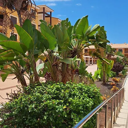 Casa Moca * Palm-mar